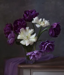 Ramo de tulipanes blancos y morados