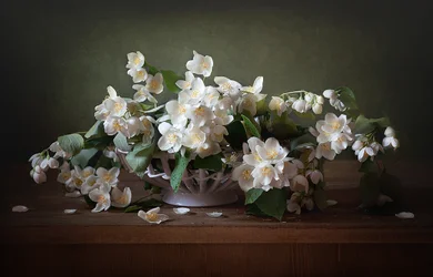 Naturaleza muerta con jazmin blanco