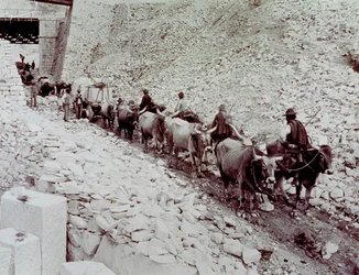 Escena que muestra bloques de mármol siendo transportados desde una cantera en Carrara. El carro es tirado por diez bueyes