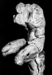 El Torso Belvedere por Apollonios de Néstor, c.1890 (foto en blanco y negro)