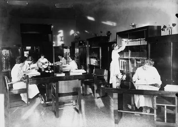 Villa Rosa Maltoni Mussolini: estudiando en la biblioteca