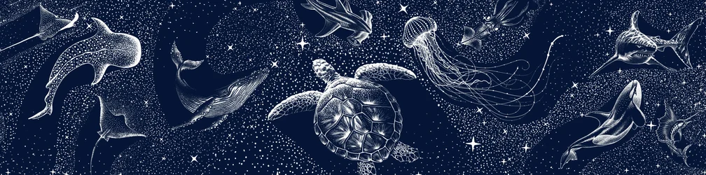 Vida marina celestial