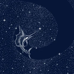 Pez vela celestial