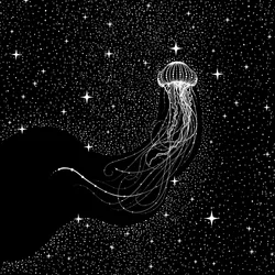 El sueño de la medusa cósmica