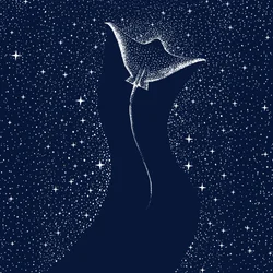 Manta cósmica