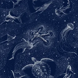 Viaje por el océano cósmico
