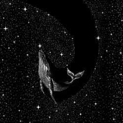 Ballena Cósmica