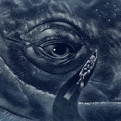Encuentro con ballenas en las profundidades del océano