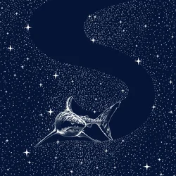 Gran Galaxia Blanca