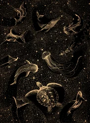 Galaxia de la vida marina