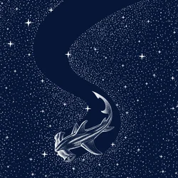 Tiburón martillo estrellado