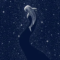 Tiburón ballena estrellado