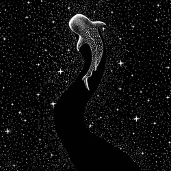 Viaje bajo las estrellas con los tiburones ballena