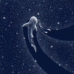 Viaje por la Galaxia del Tiburón Ballena