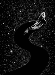 Una ballena a la luz de las estrellas