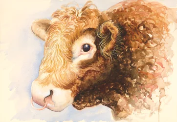 Adán el toro, 2016, acuarela