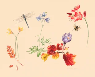 Flores e insectos de otoño
