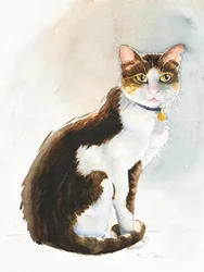 Dave el gato saudí, 2019 (acuarela)