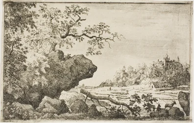Rama de un árbol