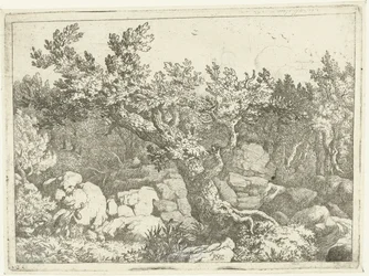 Paisaje con cazador cerca de un gran árbol. el arbol grande