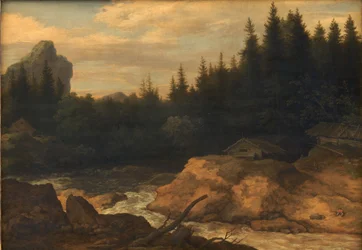 El río en el bosque de pinos