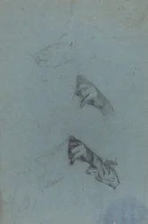 Estudios de Manos [verso]