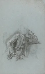 Estudio para un retrato de un caballero sentado