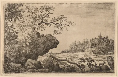 Rama en el agua