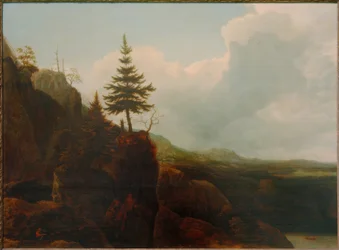 Paisaje montañoso con abeto