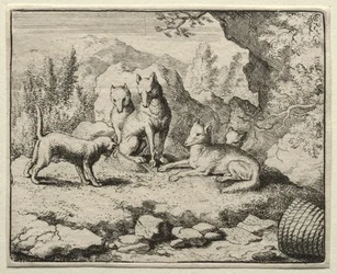 Reynard the Fox:  The Cat Calls Reynard to Court