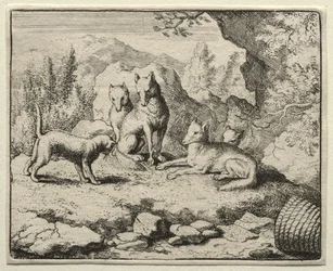 Reynard el Zorro: El Gato llama a Reynard a la corte