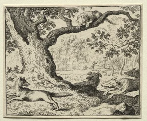 Reynard the Fox:  The Disloyal Cat