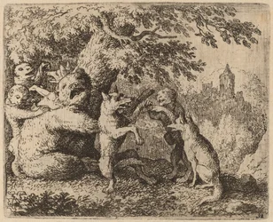 El Oso y el Lobo son Perseguidos