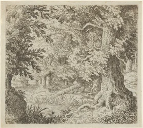 El arroyo en el bosque, siglo XVII
