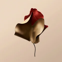 Elegante flor de cuero