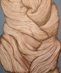 Meklones con textura y movimiento