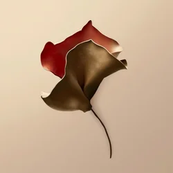 Forma de flor plegada