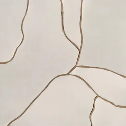 Líneas orgánicas y fluidas