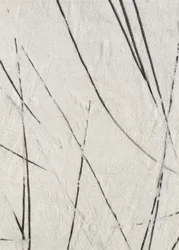 Textura de líneas orgánicas