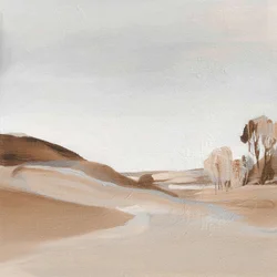 Paisaje desértico sereno