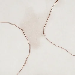 Formas suaves y fluidas