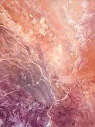 Vetas rosadas del desierto