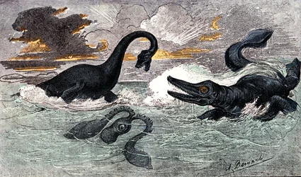Periodo Lias (Jurásico Inferior): Plesiosaurio e Ictiosaurio, creación natural y seres vivos (por Jules Rengade) Dibujo de A. Demarle. 1885