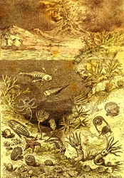 Prehistoria-Fin del período Silúrico: Creación natural y seres vivos (J. Rengade) Dibujo A. Demarle. 1885