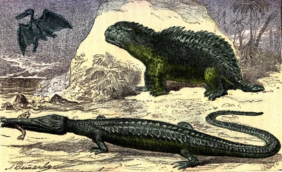 Prehistoria - Período Jurásico: El Teleosaurio y el Hyleosaurio. El Pterodáctilo arriba. Creación natural y seres vivos. Dibujo de A. Demarle. 1885