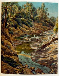 Ilustración de Dinet de 
