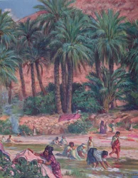 Palmeras. La palmera fue bendecida por el profeta Mahoma en el Corán. Litografía en color, 1918.