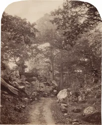 Fontainebleau, hacia 1860 (foto)