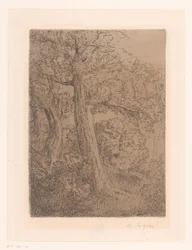 Dos árboles