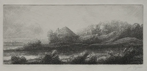 Cabaña en el pantano